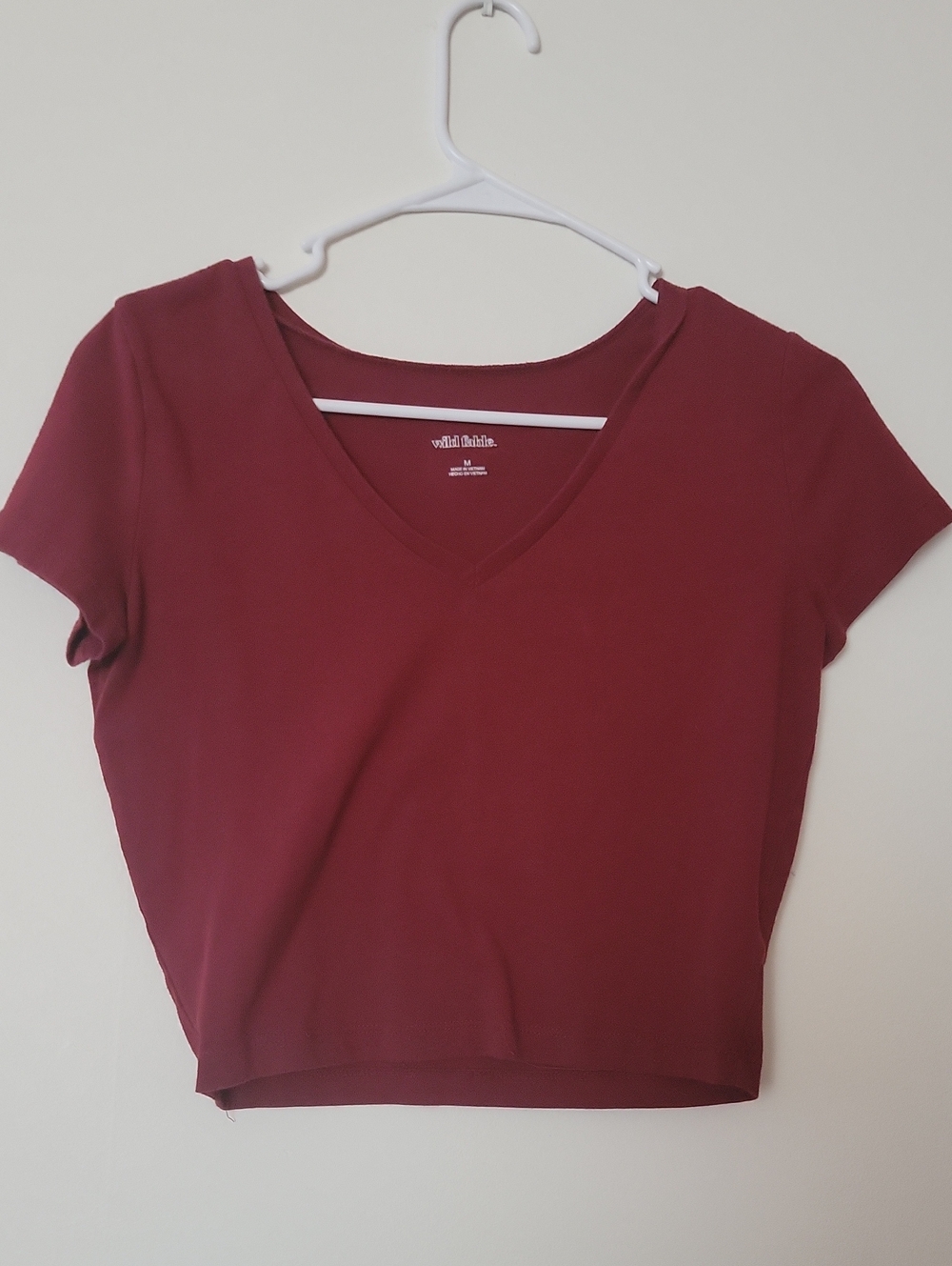 wild fable Burgundy V-Neck Short Sleeve Crop Top